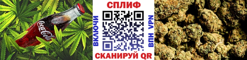 где можно купить   Лесной  Cannafood конопля 