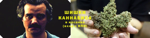 сатива Алексеевка