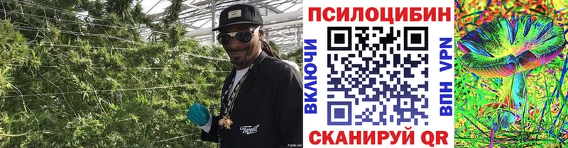 mega ссылка  что такое   Лесной  Псилоцибиновые грибы GOLDEN TEACHER 