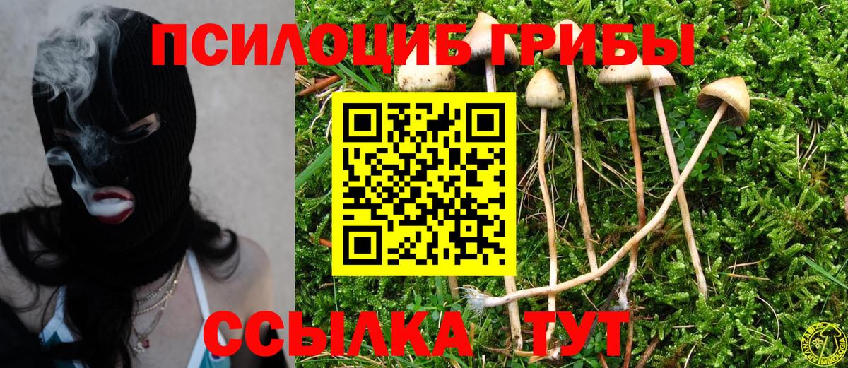 Галлюциногенные грибы GOLDEN TEACHER Лесной